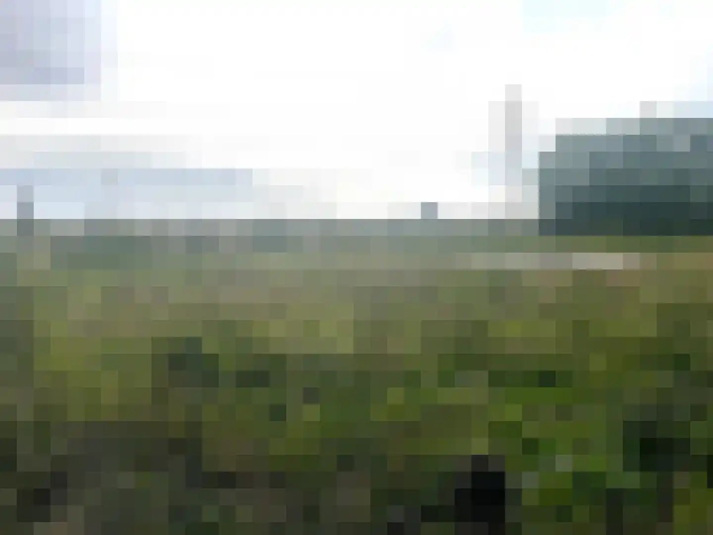 Prinsenbaan 155 Koningsbosch thumbnail 98