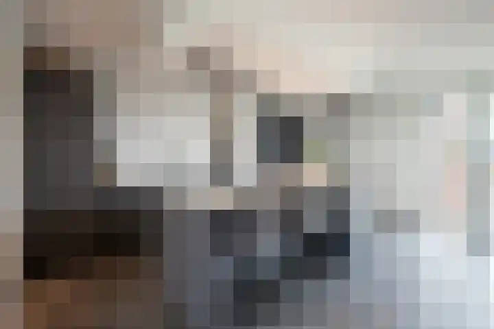 Prinsenbaan 207 Koningsbosch thumbnail 8