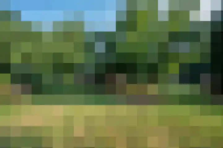 Prinsenbaan 219 Koningsbosch thumbnail 5