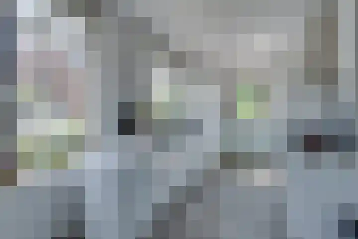 Prinsenboslaan 5 Vleuten thumbnail 9