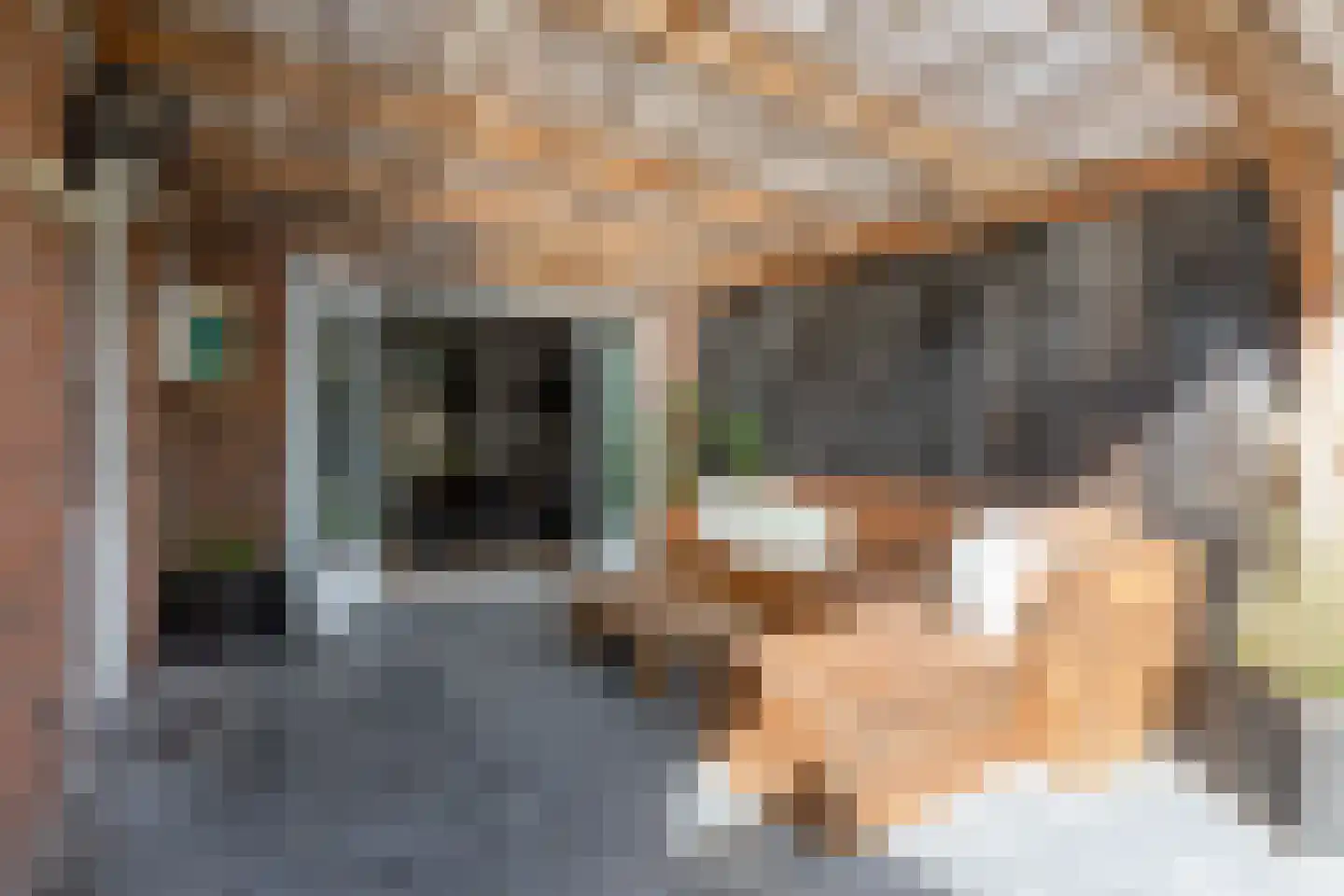 Prinsenburg 3 Bolsward thumbnail 10