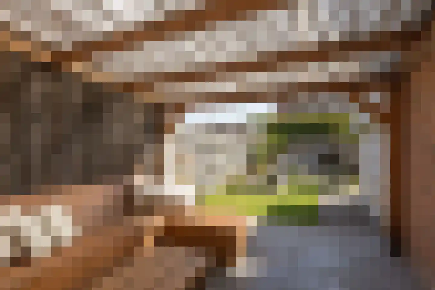 Prinsenburg 3 Bolsward thumbnail 30