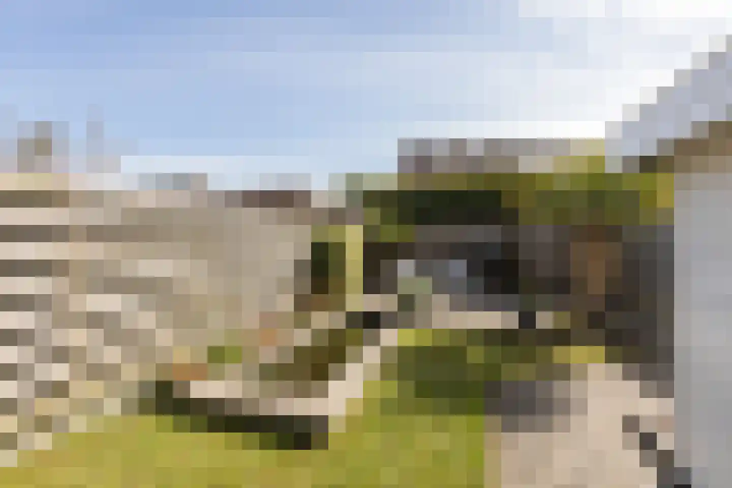 Prinsenburg 3 Bolsward thumbnail 31