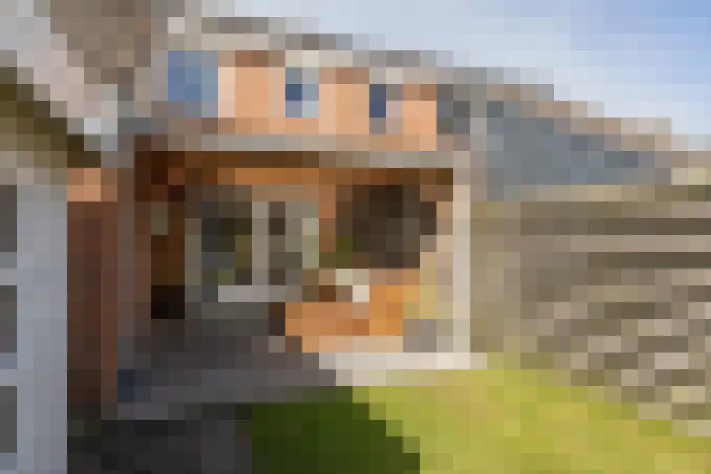 Prinsenburg 3 Bolsward thumbnail 33