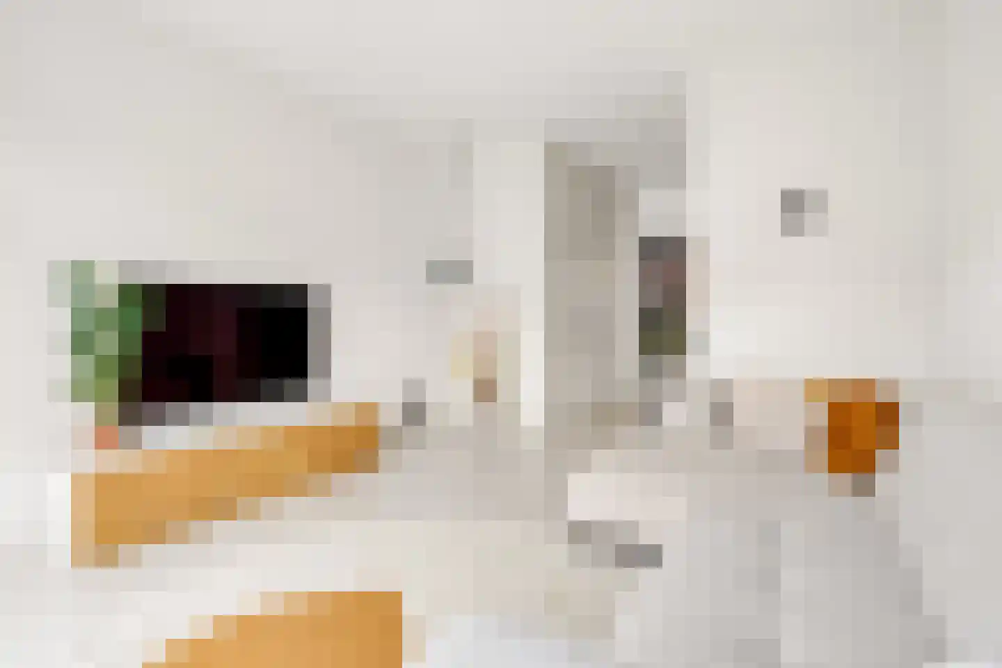 Prinsendaalderhof 14 Utrecht thumbnail 5