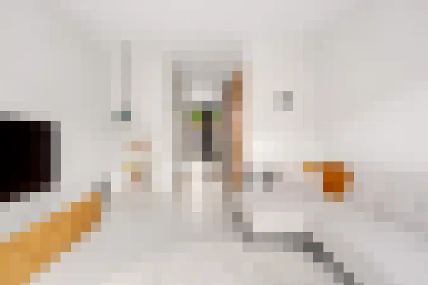 Prinsendaalderhof 14 Utrecht thumbnail 8