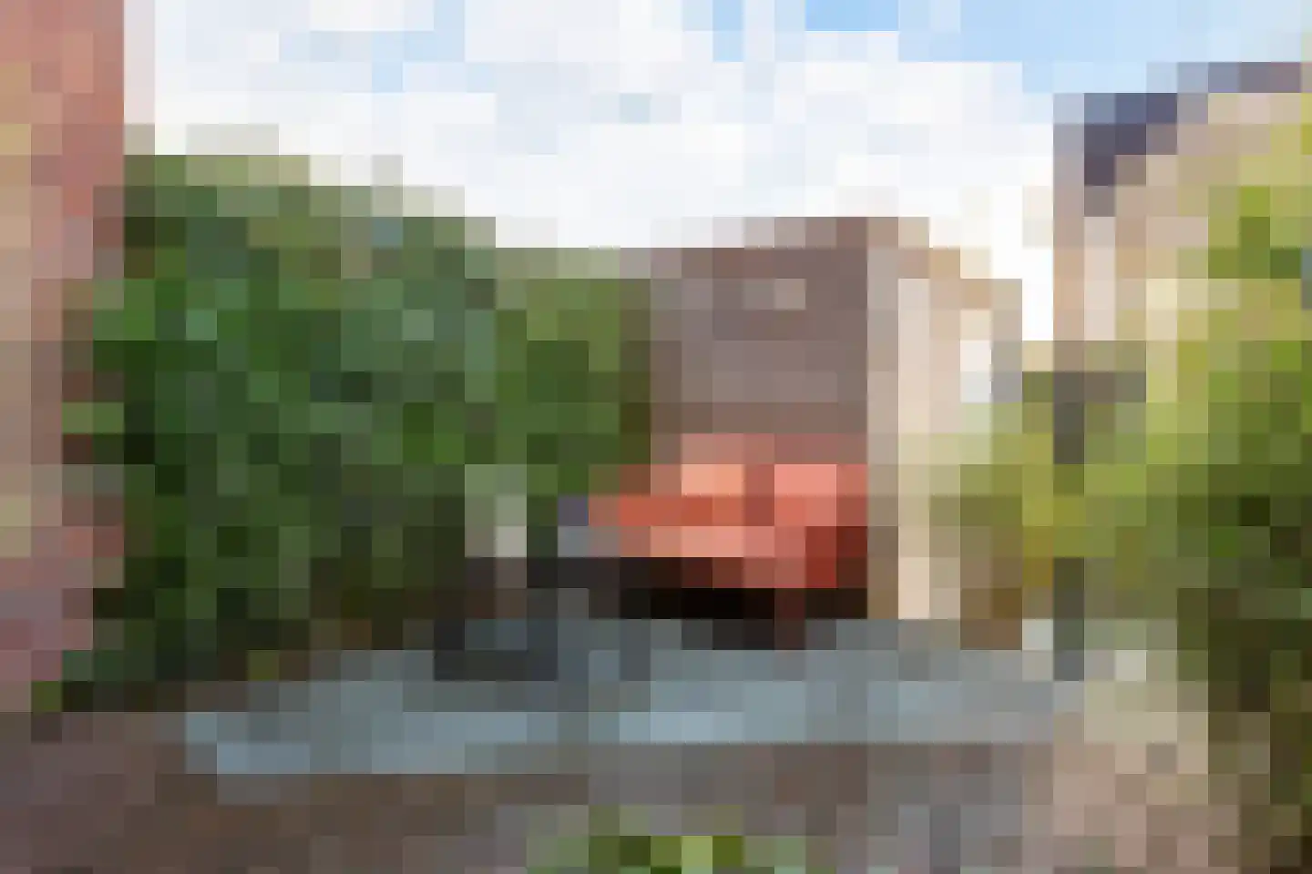 Prinsendaalderhof 16 Utrecht thumbnail 15