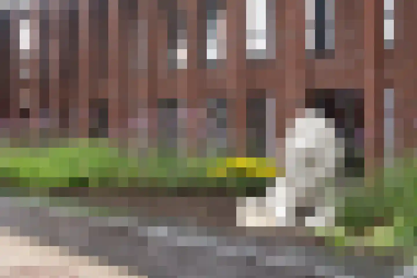 Prinsendaalderhof 20 Utrecht thumbnail 32