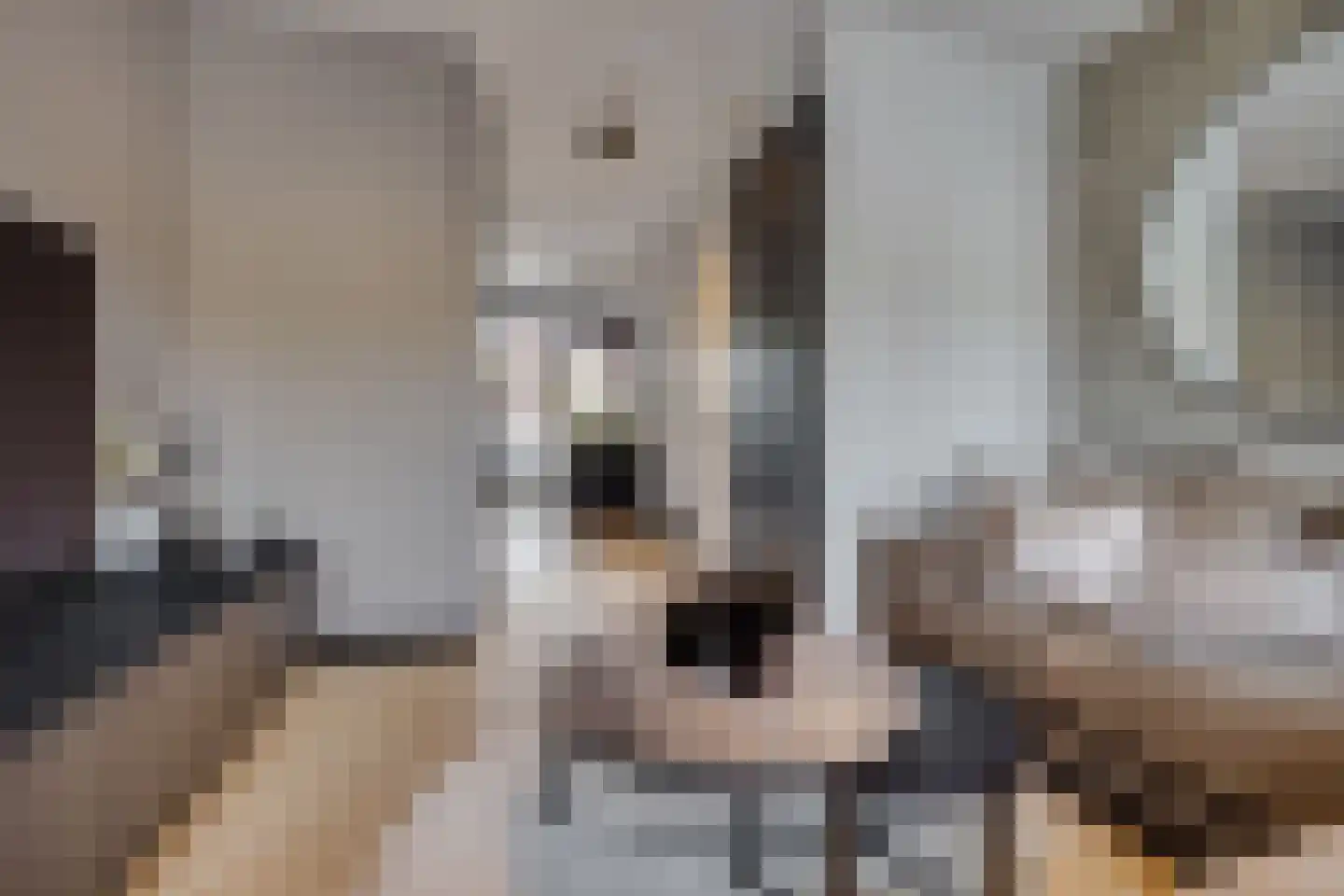 Prinsendaalderhof 20 Utrecht thumbnail 4
