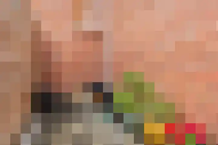 Prinsendaalderhof 6 Utrecht thumbnail 11