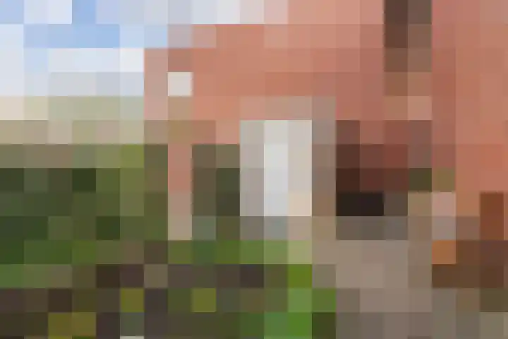 Prinsendaalderhof 6 Utrecht thumbnail 12