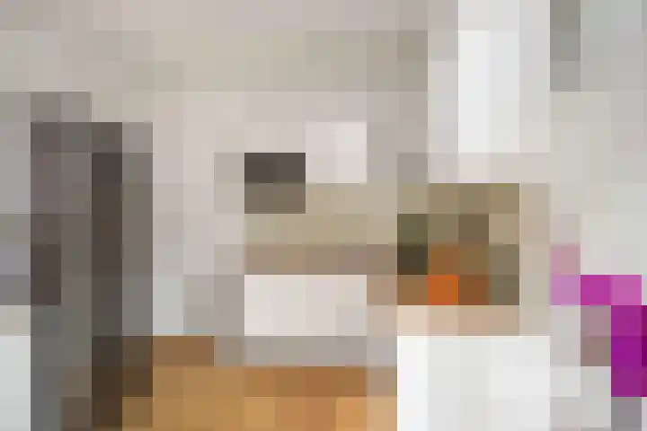 Prinsendaalderhof 6 Utrecht thumbnail 16
