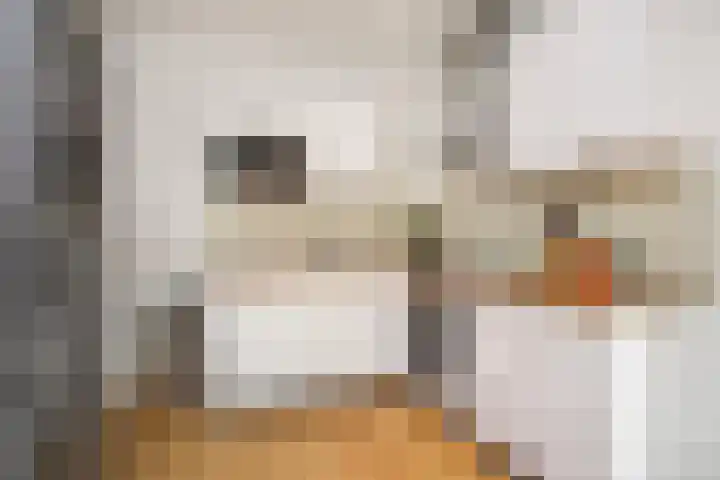 Prinsendaalderhof 6 Utrecht thumbnail 17