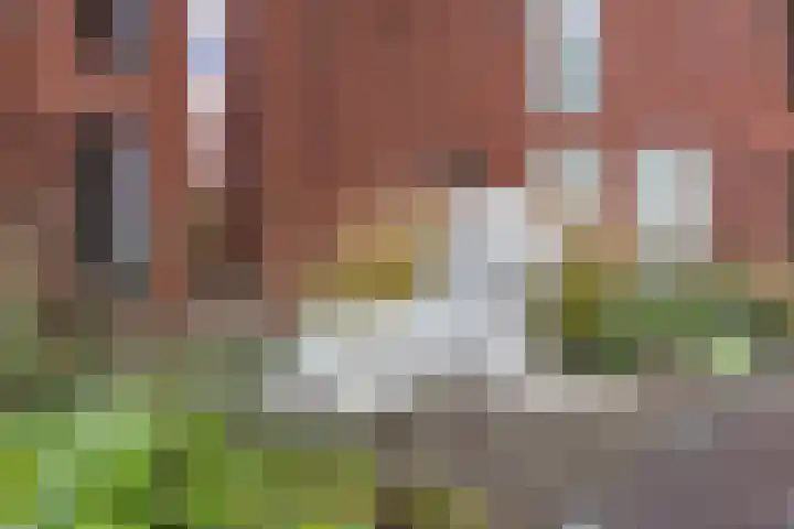 Prinsendaalderhof 6 Utrecht thumbnail 39