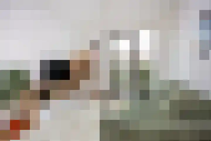 Prinsendaalderhof 6 Utrecht thumbnail 6