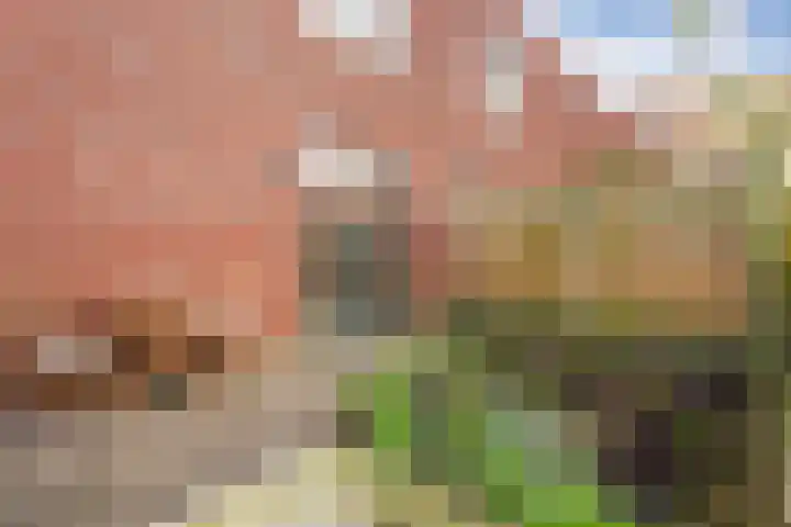 Prinsendaalderhof 6 Utrecht thumbnail 8