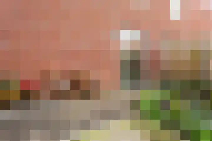 Prinsendaalderhof 6 Utrecht thumbnail 9