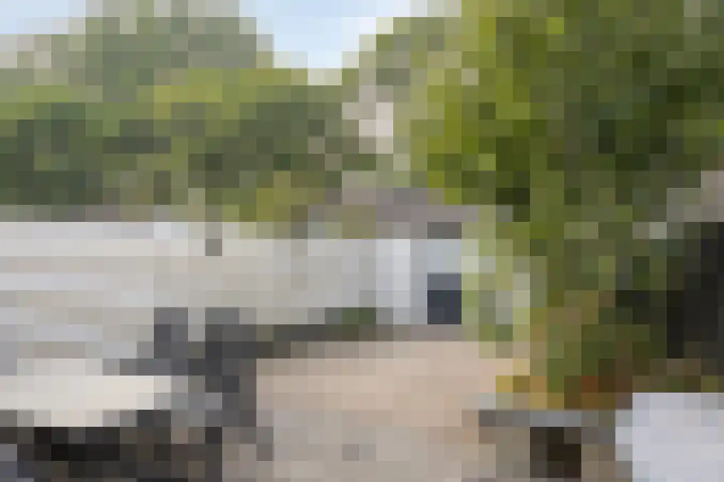 Prinsendam 30 Oosterhout thumbnail 30