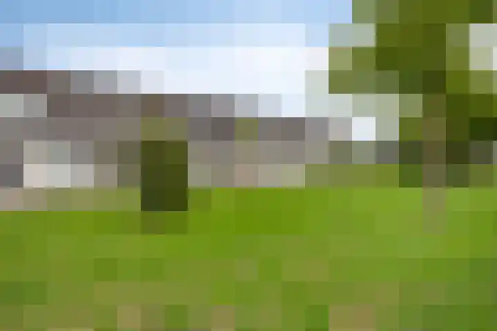 Prinsendam 33 Oosterhout thumbnail 33