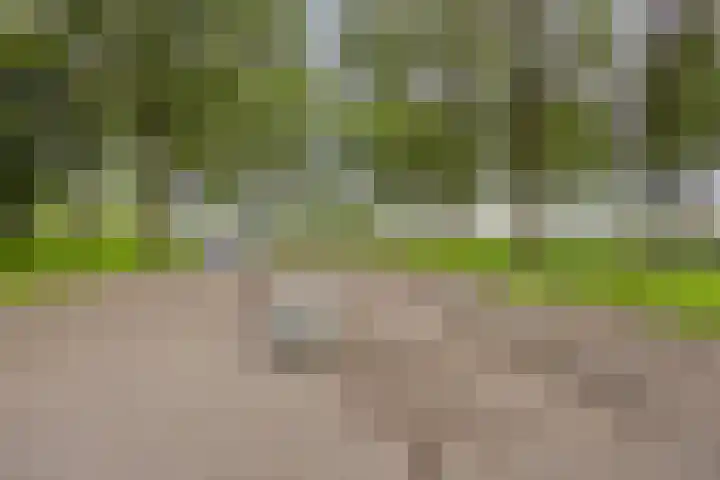 Prinsendam 33 Oosterhout thumbnail 36