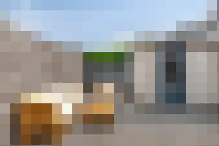 Prinsendam 35 Oosterhout thumbnail 26