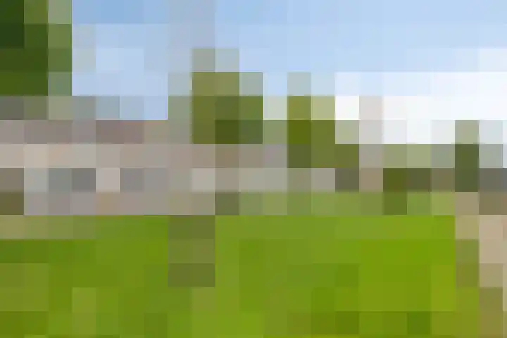 Prinsendam 35 Oosterhout thumbnail 29