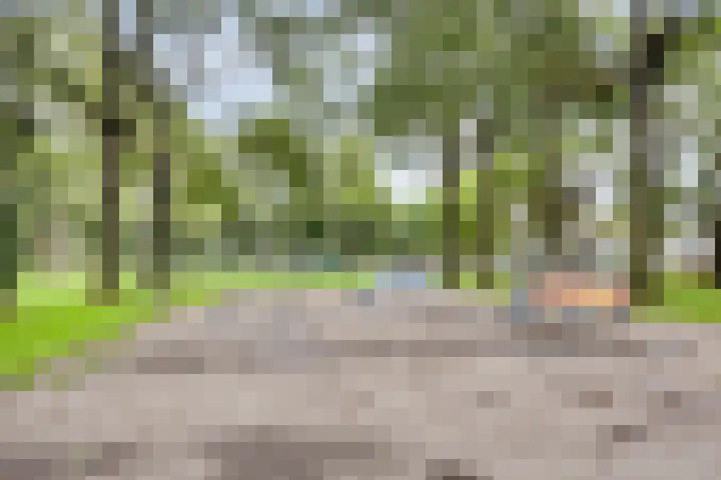 Prinsendam 47 Oosterhout thumbnail 22