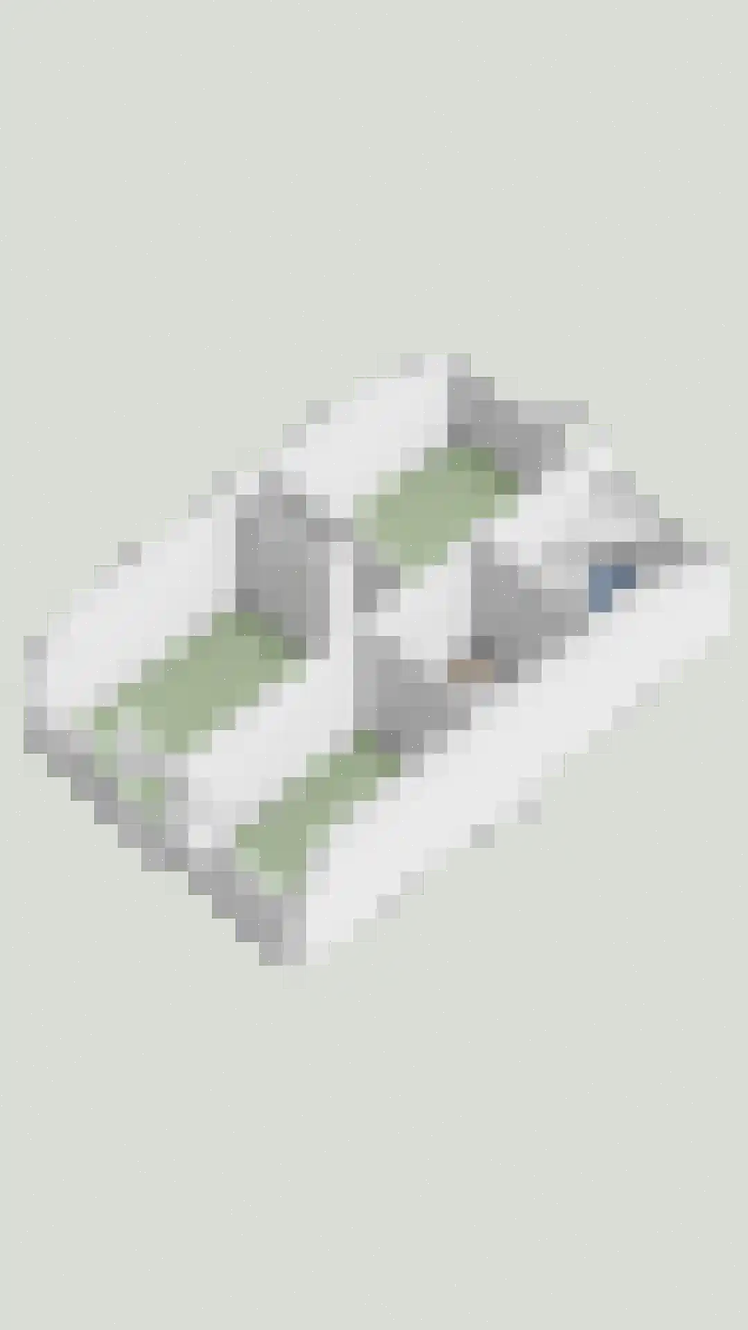 Prinsendam 47 Oosterhout thumbnail 30