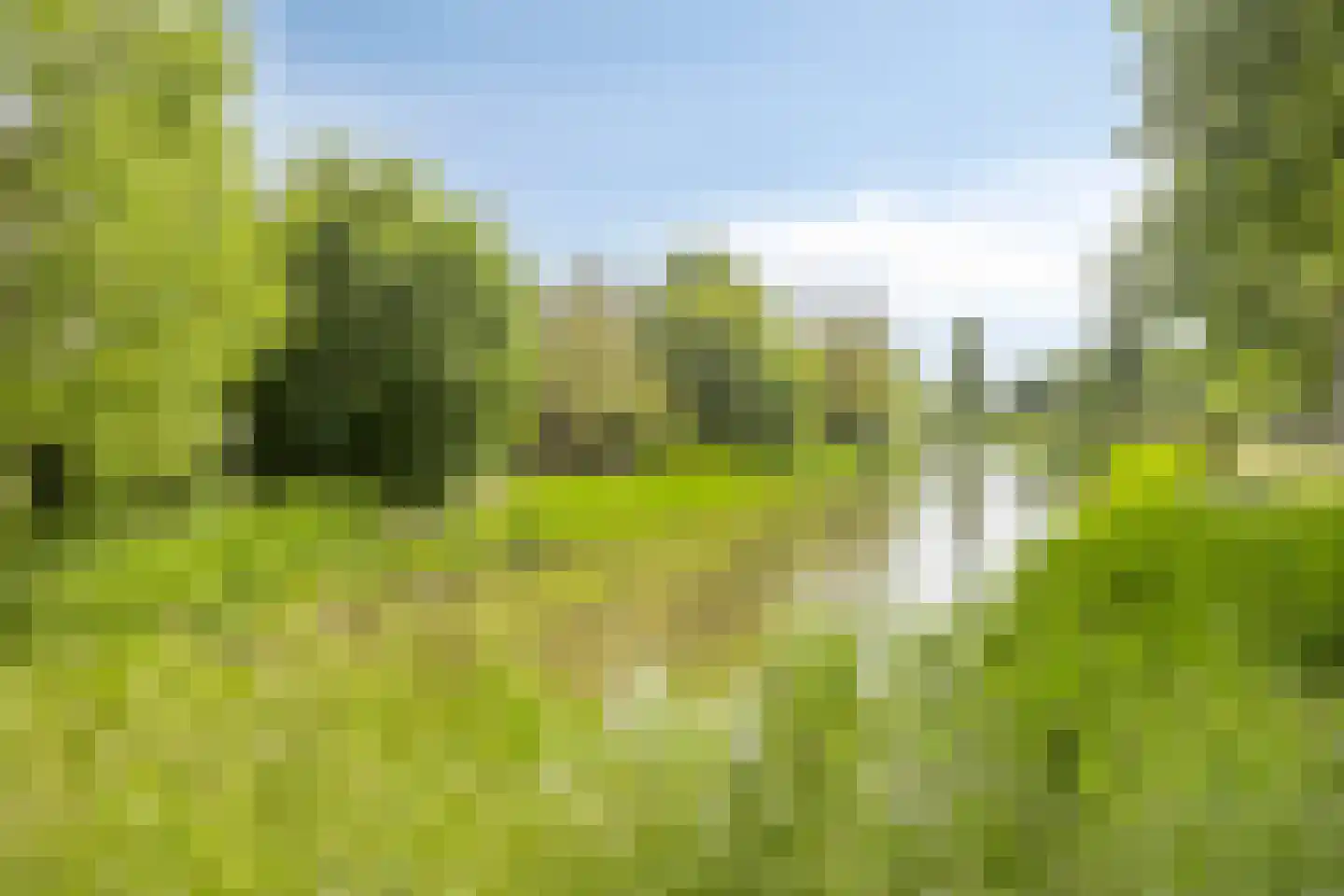 Prinsendam 58 Oosterhout thumbnail 41