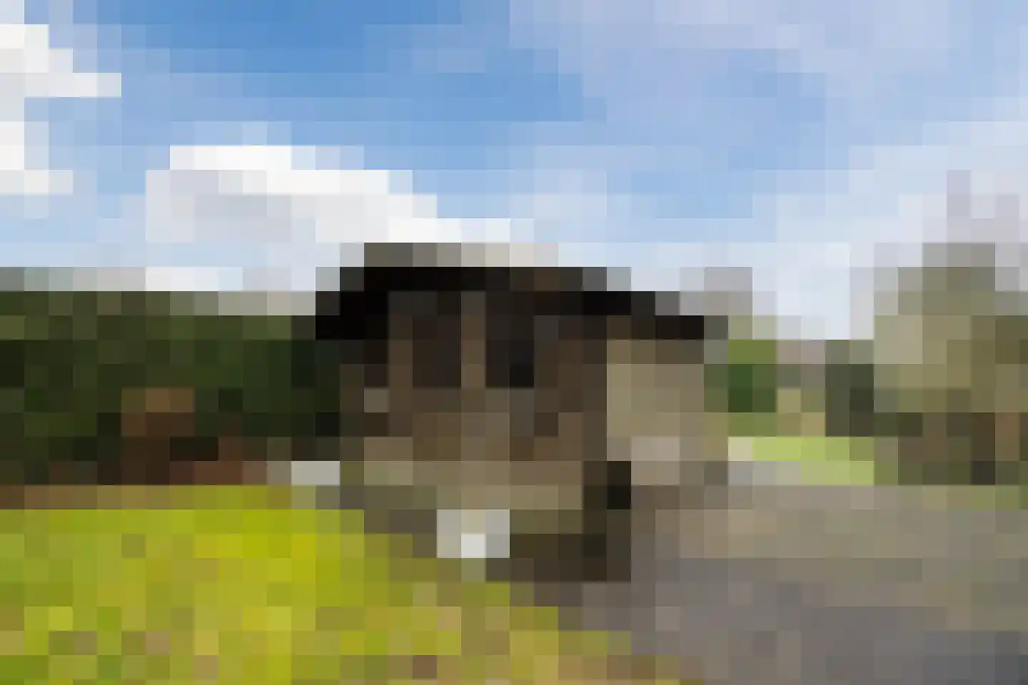 Prinsendam 62 Oosterhout thumbnail 38