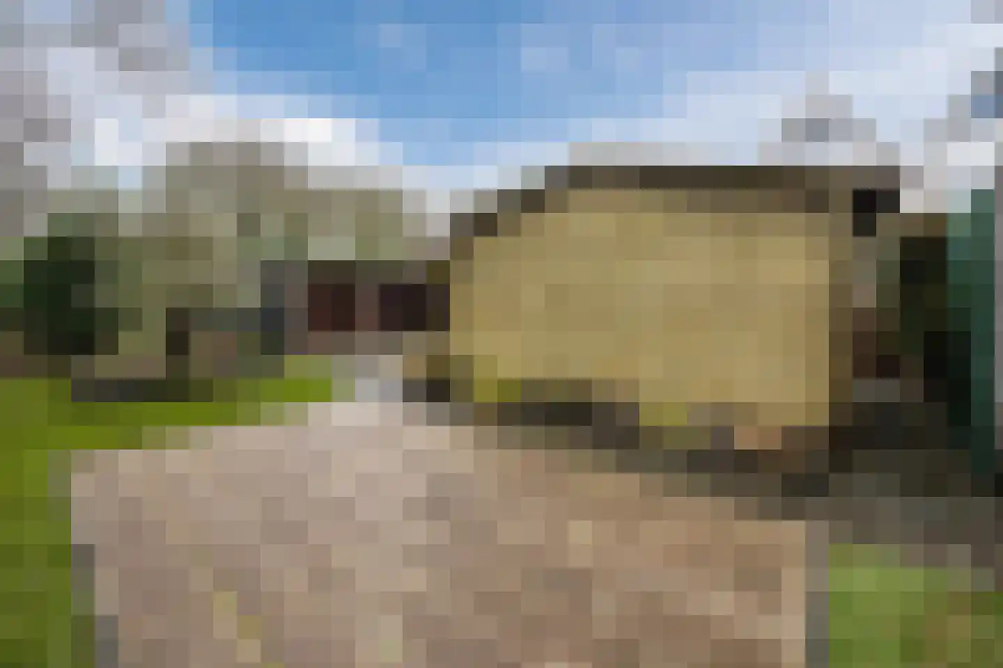 Prinsendam 62 Oosterhout thumbnail 40