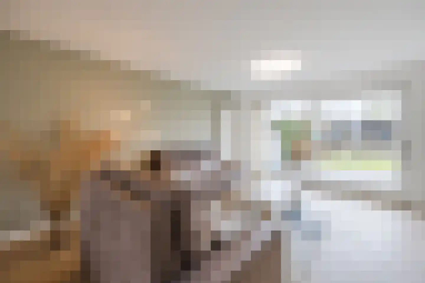 Prinsendam 62 Oosterhout thumbnail 9