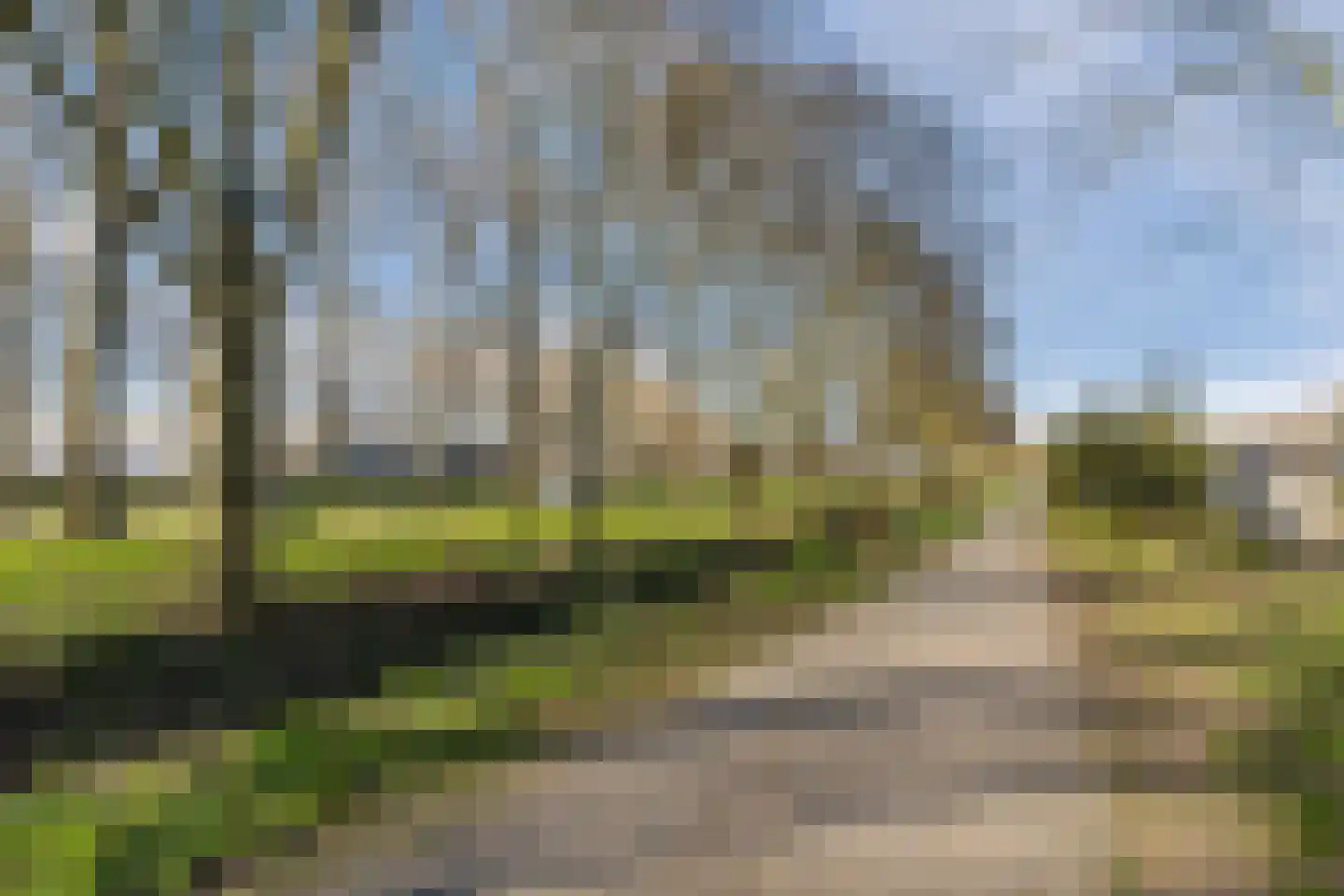 Prinsendam 66 Oosterhout thumbnail 44