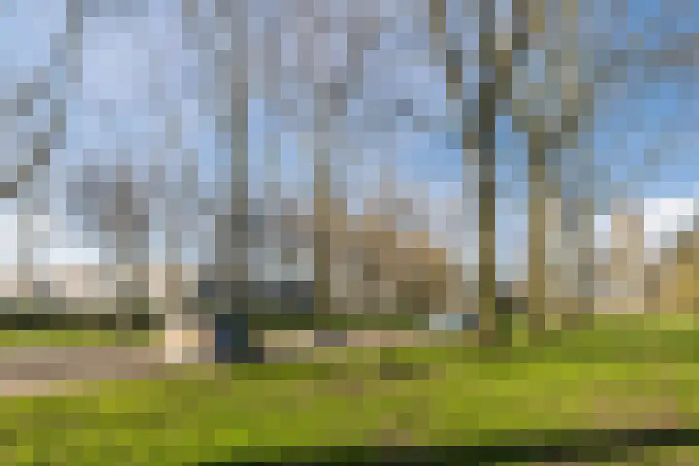 Prinsendam 66 Oosterhout thumbnail 45