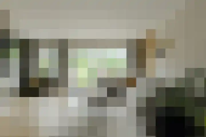 Prinsendam 76 Oosterhout thumbnail 11