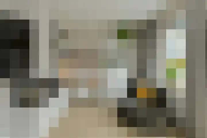 Prinsendam 76 Oosterhout thumbnail 12