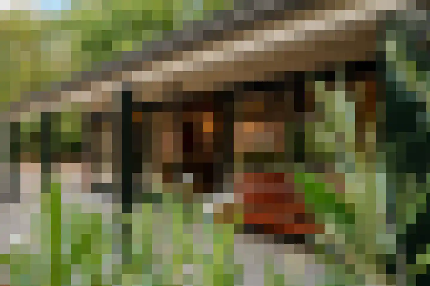 Prinsendijk 11 Kortgene thumbnail 31