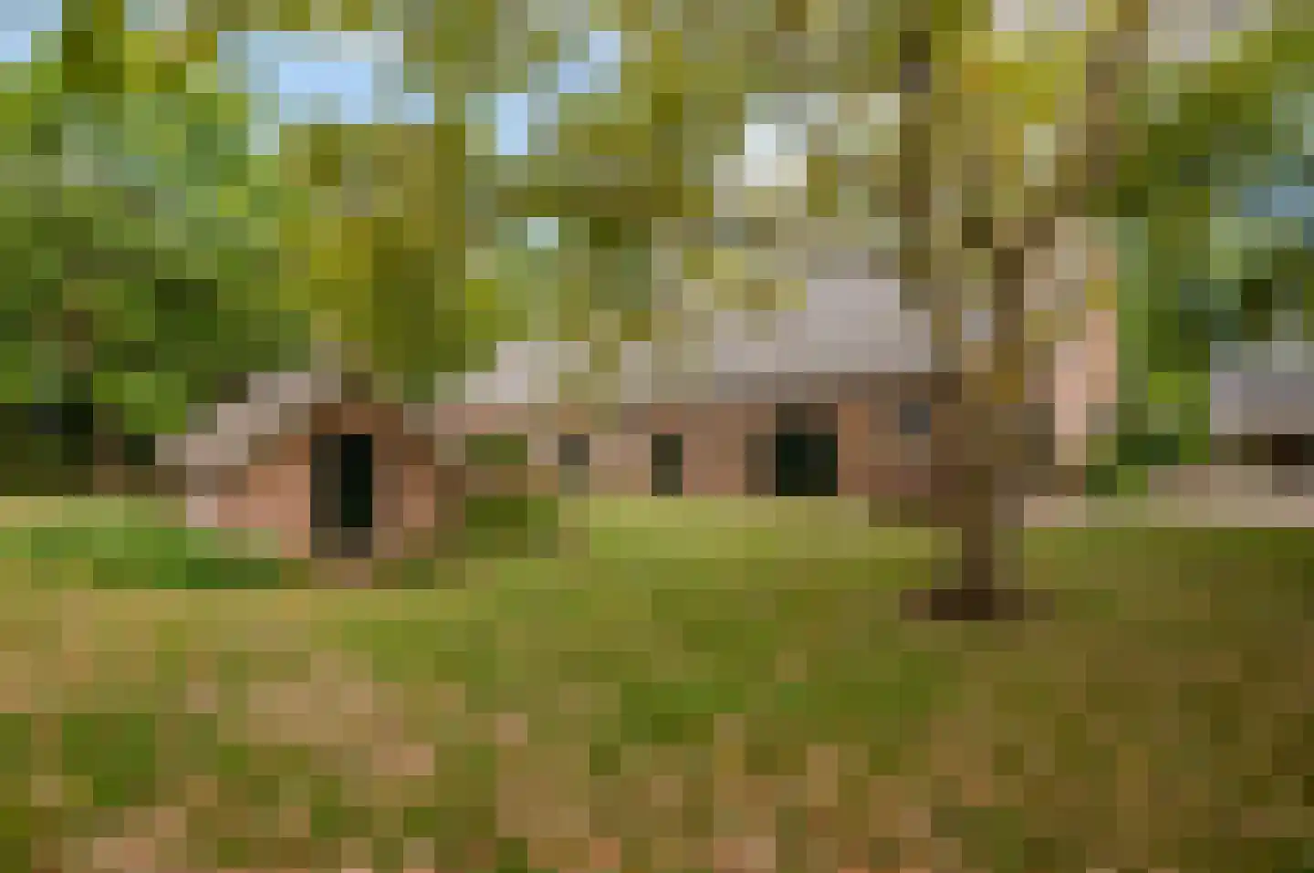 Prinsendijk 11 Kortgene thumbnail 39