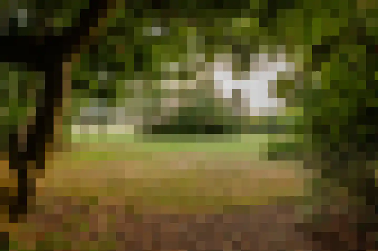 Prinsendijk 11 Kortgene thumbnail 48