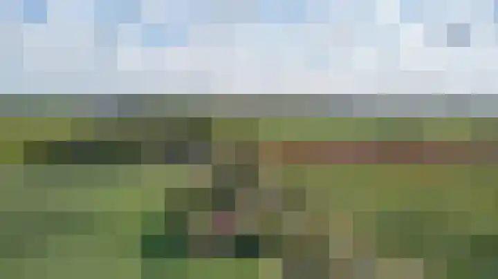 Prinsendijk 9 Kortgene thumbnail 40