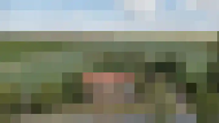 Prinsendijk 9 Kortgene thumbnail 43