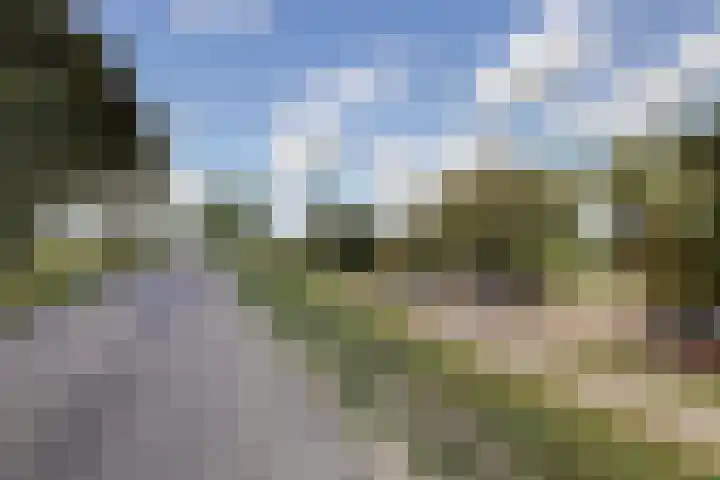 Prinsendijk 9 Kortgene thumbnail 5