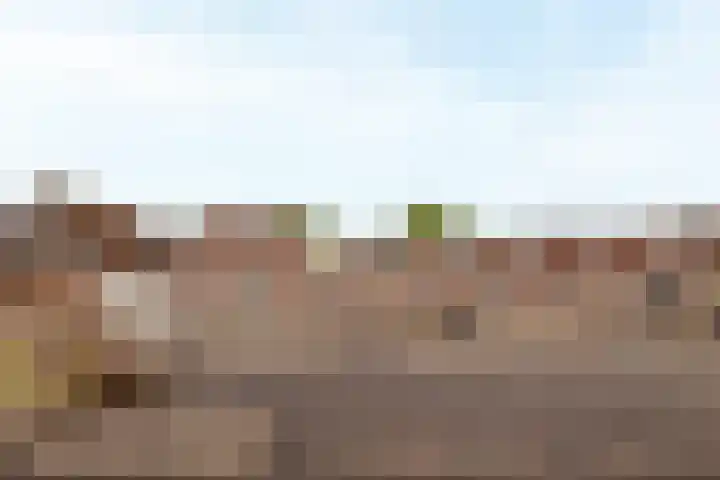 Prinseneiland 15 F Amsterdam thumbnail 29