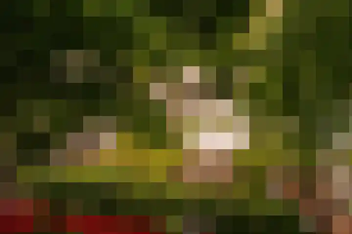Prinseneiland 15 F Amsterdam thumbnail 4