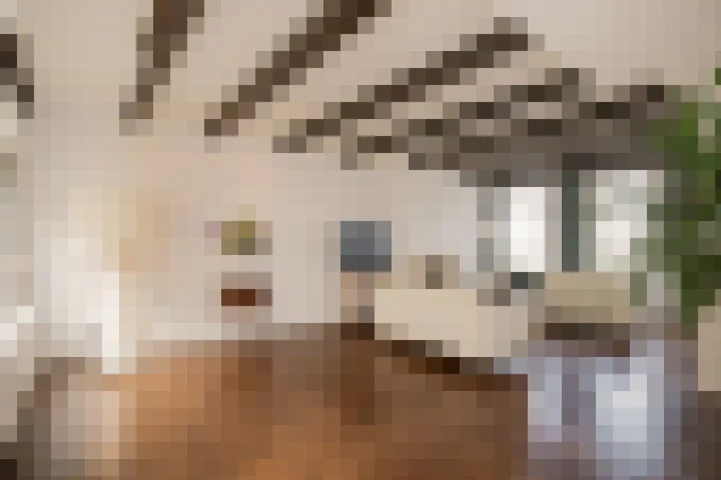 Prinseneiland 33 Amsterdam thumbnail 17