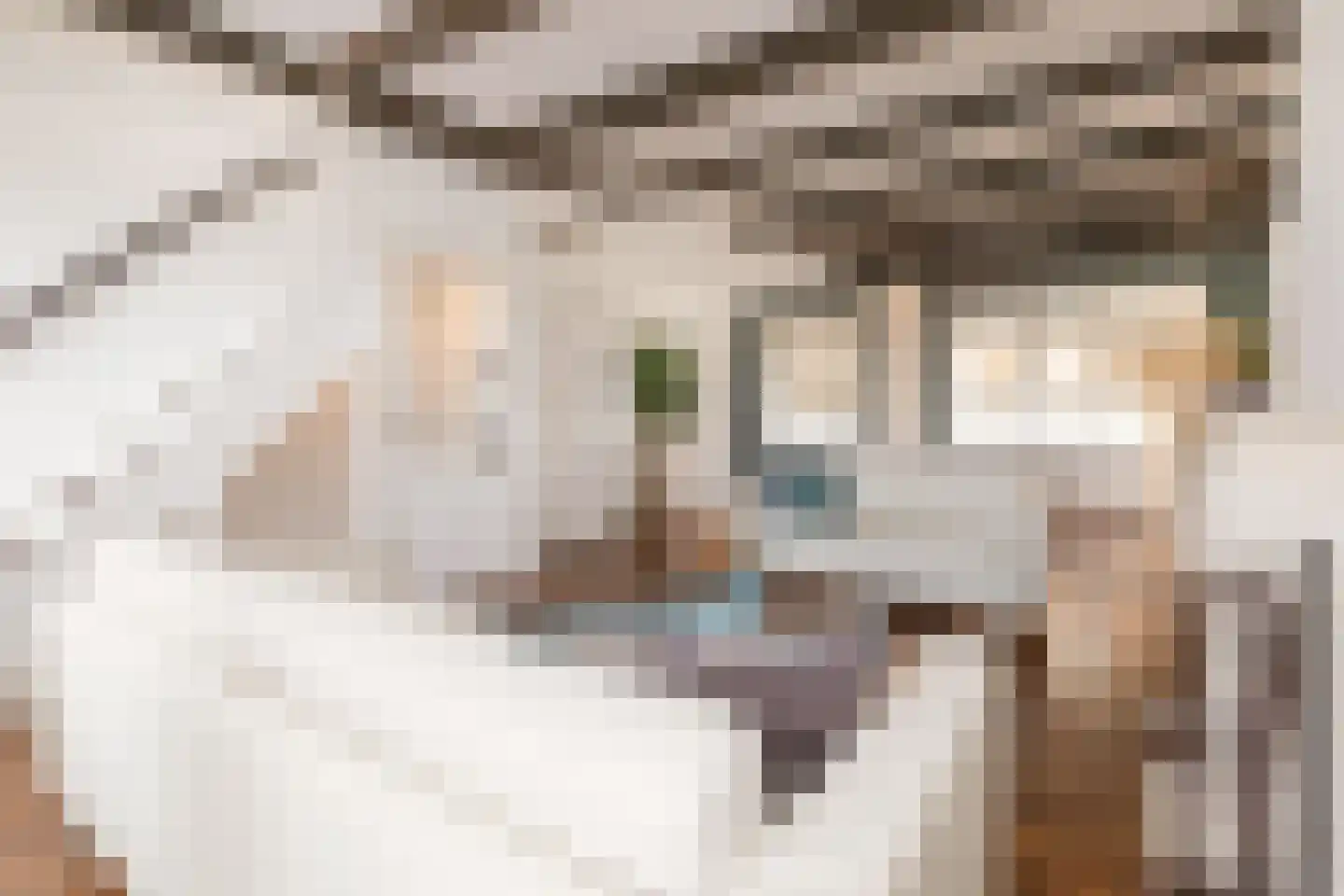 Prinseneiland 33 Amsterdam thumbnail 20