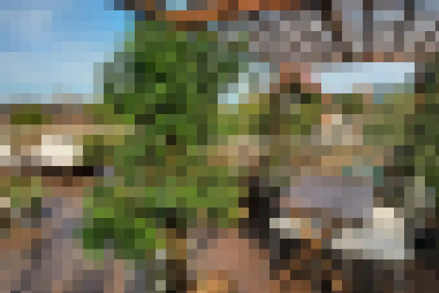 Prinseneiland 33 Amsterdam thumbnail 31