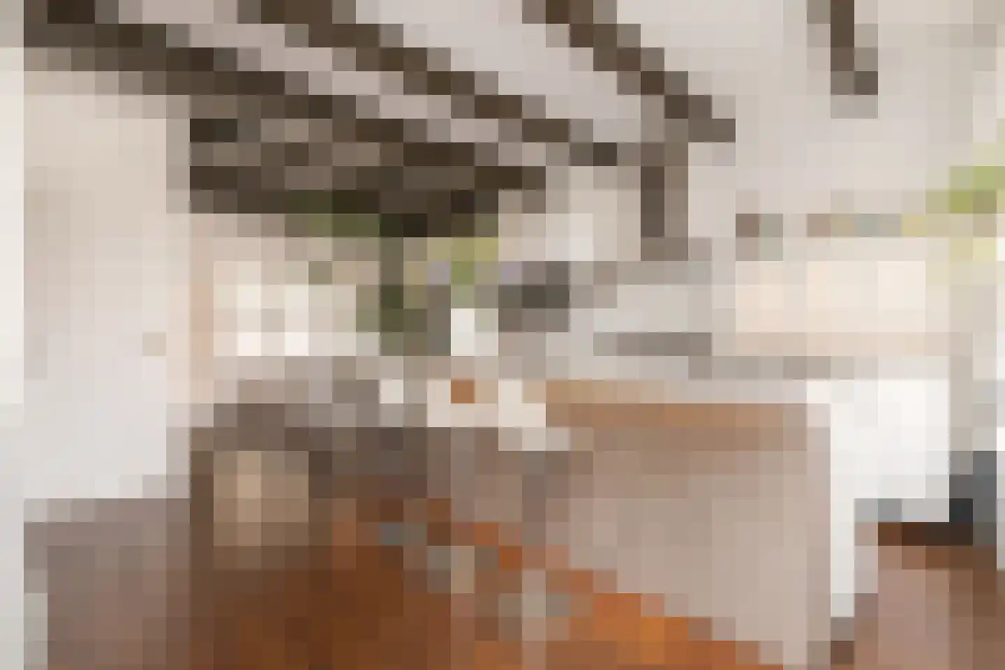 Prinseneiland 33 Amsterdam thumbnail 4
