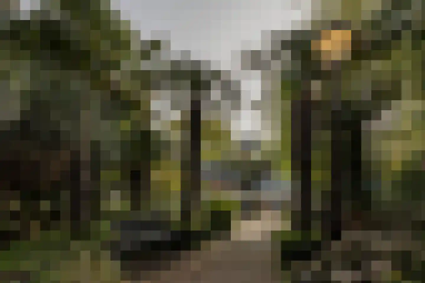 Prinseneiland 36 A Amsterdam thumbnail 36