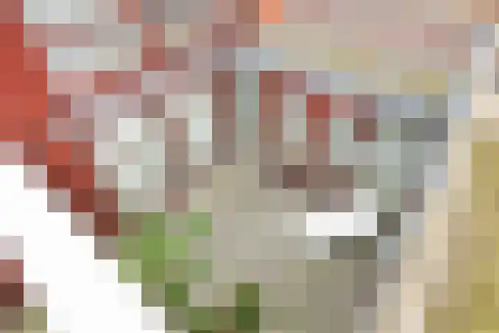 Prinseneiland 36 F Amsterdam thumbnail 53
